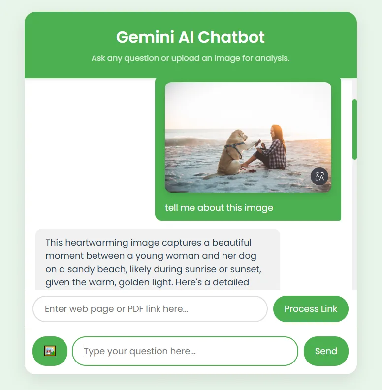 Multimodal chat response showing image analysis with detailed description generated by Gemini model