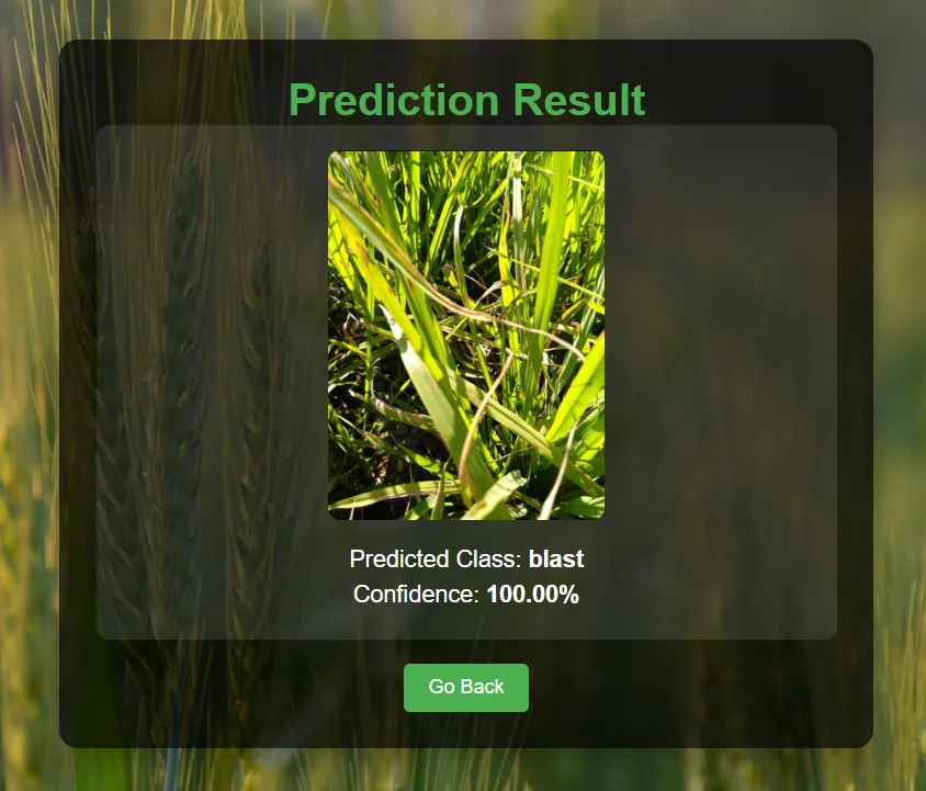 Classification result displaying predicted disease class, confidence score, and health status